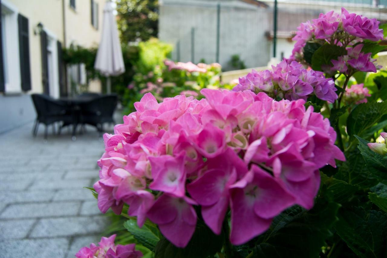 Giardino Delle Ortensie Apartment Cannobio Bagian luar foto